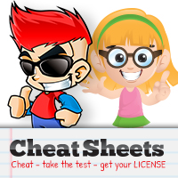 dmv free cheat tests