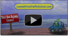 Video Florida Drug and Alcohol Course